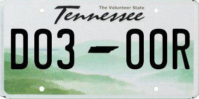 TN license plate D0300R