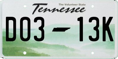TN license plate D0313K