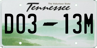 TN license plate D0313M