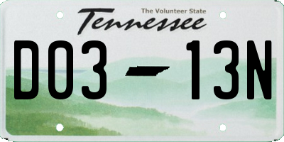 TN license plate D0313N