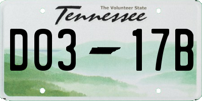 TN license plate D0317B