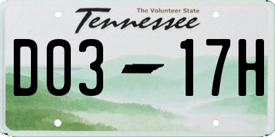 TN license plate D0317H
