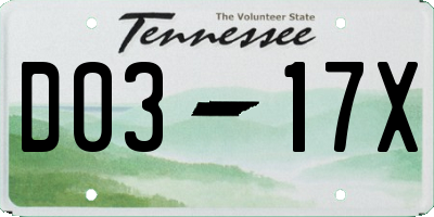 TN license plate D0317X