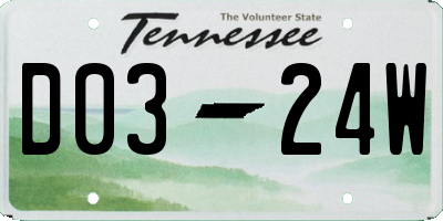 TN license plate D0324W