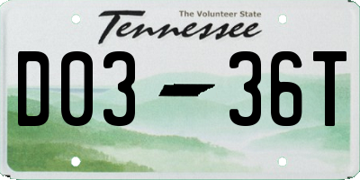 TN license plate D0336T