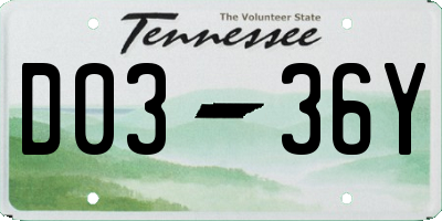 TN license plate D0336Y