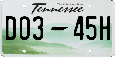 TN license plate D0345H