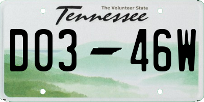 TN license plate D0346W