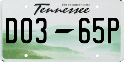TN license plate D0365P
