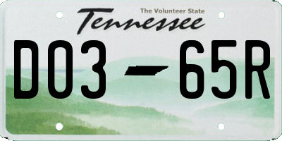 TN license plate D0365R
