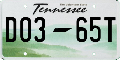TN license plate D0365T