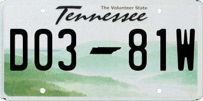 TN license plate D0381W