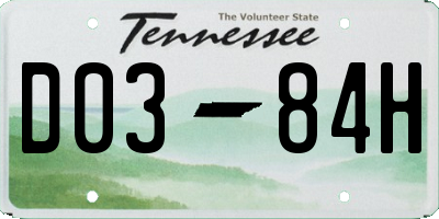 TN license plate D0384H