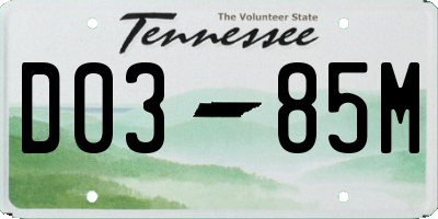TN license plate D0385M