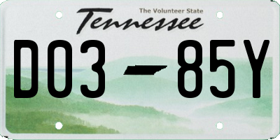 TN license plate D0385Y