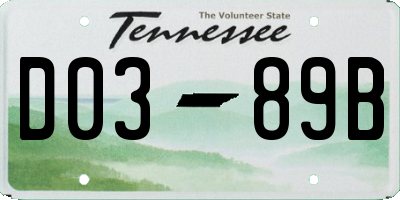 TN license plate D0389B