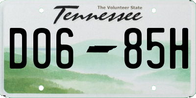 TN license plate D0685H