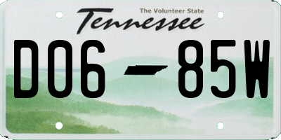 TN license plate D0685W