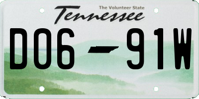 TN license plate D0691W