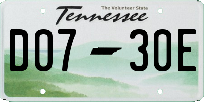 TN license plate D0730E