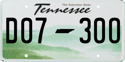 TN license plate D0730O