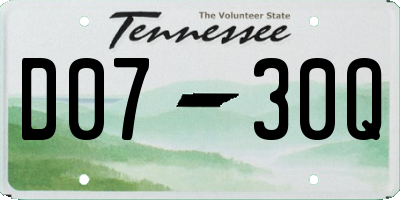 TN license plate D0730Q