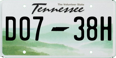 TN license plate D0738H