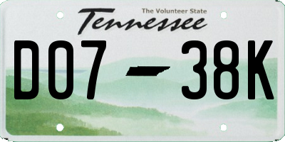 TN license plate D0738K