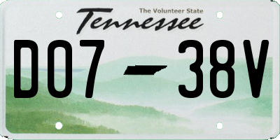 TN license plate D0738V