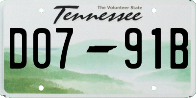 TN license plate D0791B