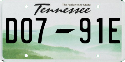 TN license plate D0791E