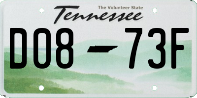 TN license plate D0873F