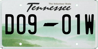 TN license plate D0901W