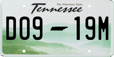 TN license plate D0919M
