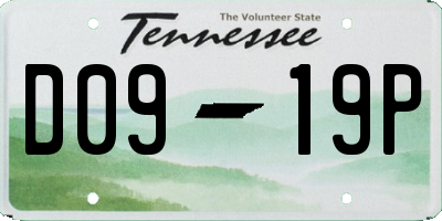 TN license plate D0919P