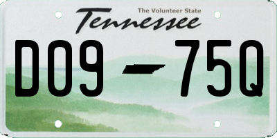 TN license plate D0975Q