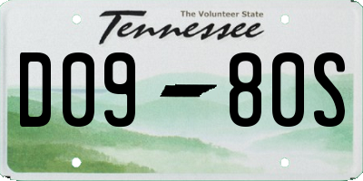 TN license plate D0980S