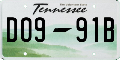 TN license plate D0991B