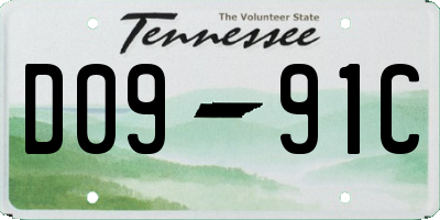TN license plate D0991C