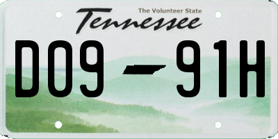 TN license plate D0991H