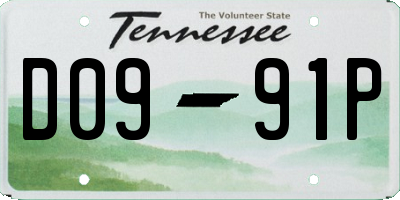 TN license plate D0991P