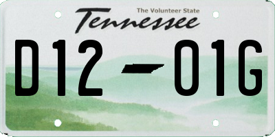 TN license plate D1201G