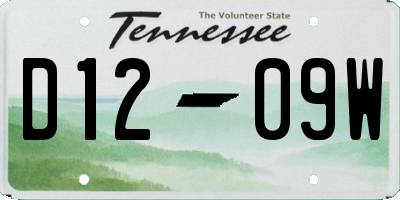 TN license plate D1209W