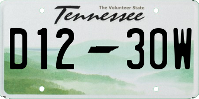 TN license plate D1230W