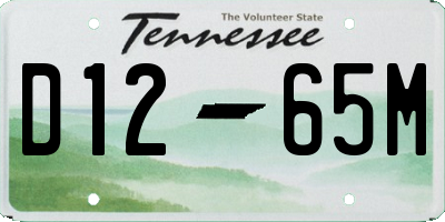 TN license plate D1265M