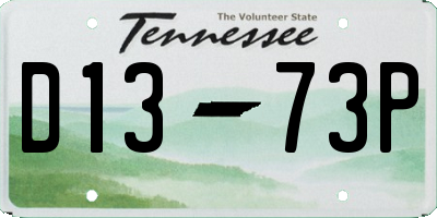 TN license plate D1373P