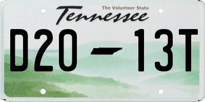TN license plate D2013T