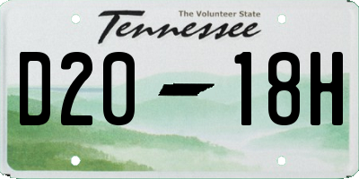 TN license plate D2018H
