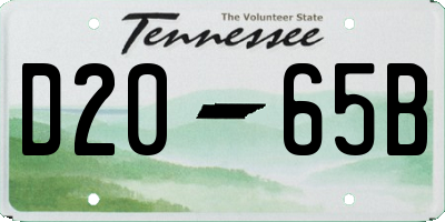 TN license plate D2065B
