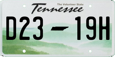 TN license plate D2319H